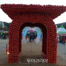 로또사과 이미지