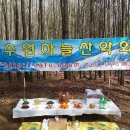 2017년 3월12일 수원하늘 산악회 시산제(광교산) 이미지