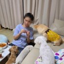 기쁨이네 민박 이미지