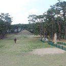 천향 - 7467 | 천향