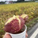 감도마을회관 이미지