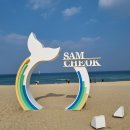 산희네횟집 | 강원도 삼척 산희네 횟집후기 ,삼척 회 추천,포장회 추천