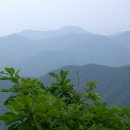 내 마음을 풍선에 이미지