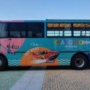 창원시티투어 이미지