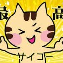 일본어(실용) 이미지
