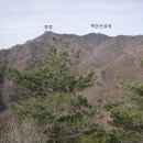 함양 백운산(白雲山) 산행기 이미지