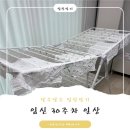 탐라향 | [임신일기] 임신 30주차 일상