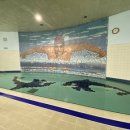 은평구민체육센터 이미지