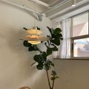 1009 COFFEE 이미지