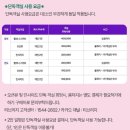 카페리올 | 부산 오사카 크루즈 가격 시간 편도 왕복 미라클호 추천 후기