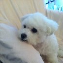 아루농장 이미지