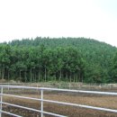 창훈농장 이미지