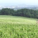 흙고운 주식회사 이미지