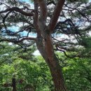 121회 경기 이천 설봉산 정기산행 이미지