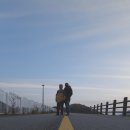 호명호수(제1주차장) | 네비형과 함께 떠난 오지 로드 서울근교 드라이브코스 : 호명호수 환상의드라이브코스 🚗 🚌