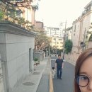 행복한 산책 이미지