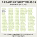 오도그 이미지