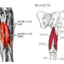 무릎뒤쪽 오금 아플때 통증 원인 이미지