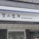 멋스럽개 이미지