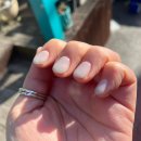 아르고네일 이미지