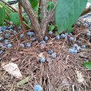 문화농장 이미지