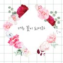 너는;꽃 이미지