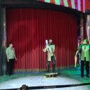 MAGIC SHOW 원더랜드 이미지