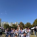 선창태권도 이미지