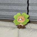 은정세탁 이미지