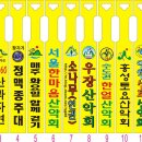 리본기획