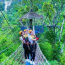 공주알프스관광펜션 이미지