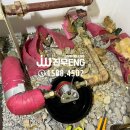 충무ENG