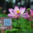 공작산생태숲 이미지