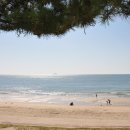 충남해양과학고등학교 이미지