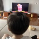 여주-0827 이미지