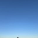 4461 | 강릉 사근진 해변 맛집 추천 수제버거가 맛있는 버거바 솔직후기