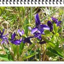 구포3동-12 이미지