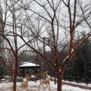 쌍용아파트후문 이미지