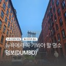 황소가든 | 미국여행 :: 뉴욕 덤보(DUMBO) 뉴욕 인생샷 명소 후기(근데 이제 월스트리트 황소OO을 곁들인..)