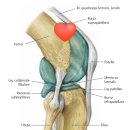 안아픈경희한의원 이미지
