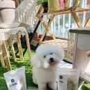 주식회사 동물의집 이미지