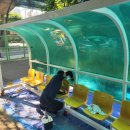 구민운동장 축구장 이미지