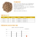 웰빙건강랜드 이미지