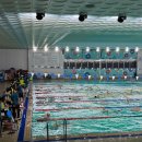 시민운동장(동) | 2026 안양시철인3종협회장배 전국장거리수영대회 2편 | 1.5km 수영대회 전 준비 + 자유형 속성 교정