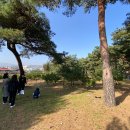 천일세탁소 이미지