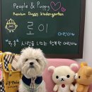 피플앤 퍼피 이미지