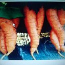 에누리마트 이미지