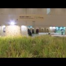 국내외 선진 농업기술 한자리...국제농업박람회 개막 / YTN 사이언스 이미지