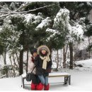 울릉도PC 이미지