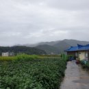 미암2리 이미지